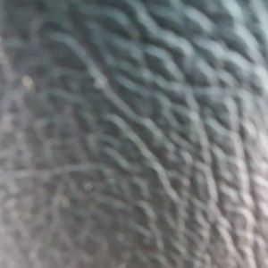 Meet your Posher, Herman